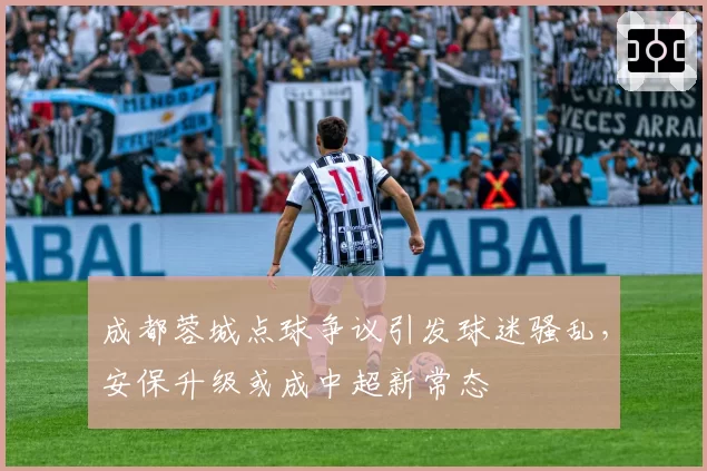 成都蓉城点球争议引发球迷骚乱，安保升级或成中超新常态