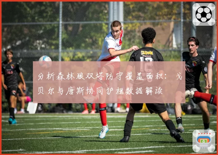 分析森林狼双塔防守覆盖面积：戈贝尔与唐斯协同护框数据解读